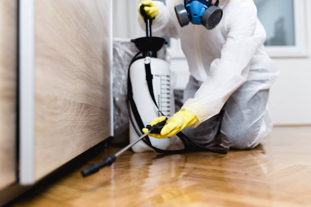 Best Best Pest Control Companies  in Winnsboro, SC