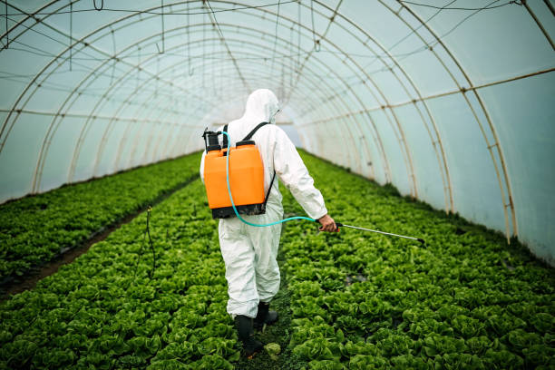 Best Affordable Pest Control Services  in Winnsboro, SC