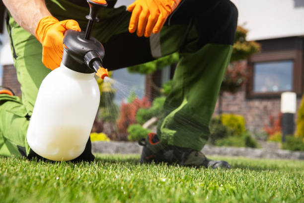 Best Affordable Pest Control Services  in Winnsboro, SC