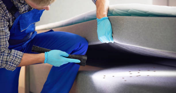 Best Local Pest Control Services  in Winnsboro, SC