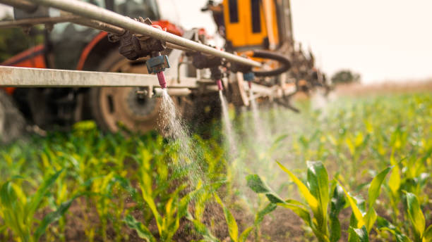 Best Pest Control Cost  in Winnsboro, SC